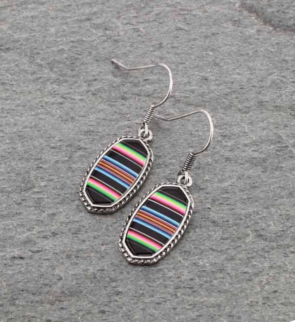 Serape Pattern Oval Fish Hook Earrings