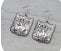 Western Rodeo Dangle Earrings