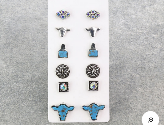 6 Pair Cow Agate & AB Stone Earring Set