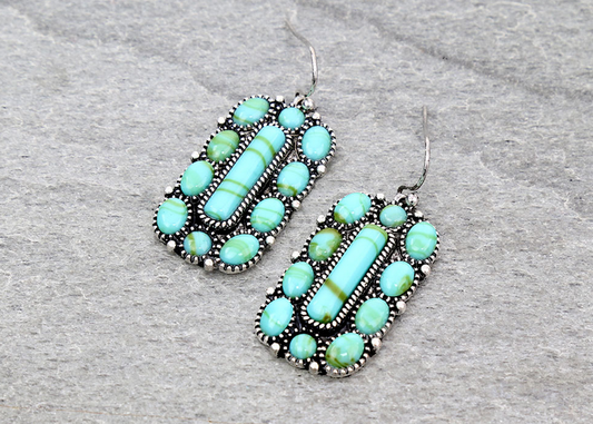 Western Style Stone Dangle Earrings