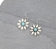 Western Concho Dangle Earrings