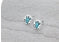 Western Steer Skull Stud Earrings